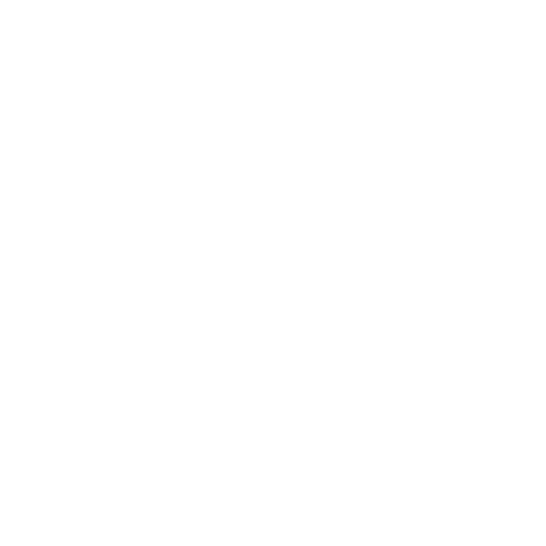 Sport Leading Company Logo